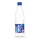 Jantar Champion Sports Water woda niegazowana butelka PET poj.0,5l